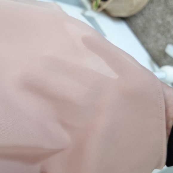 ZARA Sheer Blush Embellished Mock Neck Blouse - Picture 8 of 16